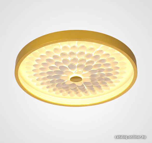 

Припотолочная люстра ImperiumLoft Petals-C01 101905-26