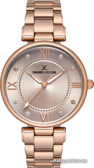 

Наручные часы Daniel Klein DK12963-2