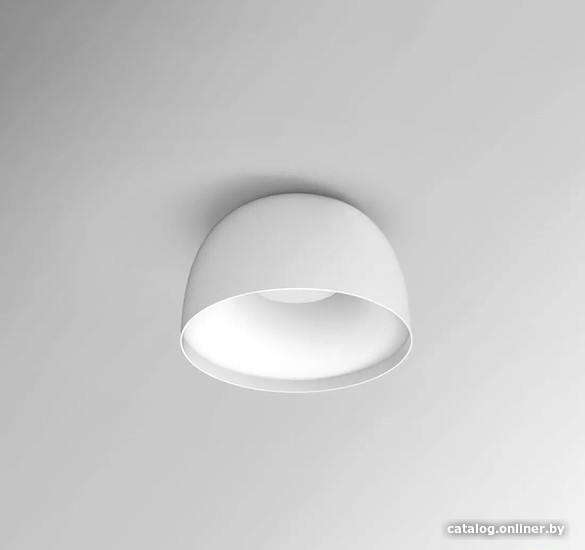 

Припотолочная люстра ImperiumLoft Brim01 184475-26