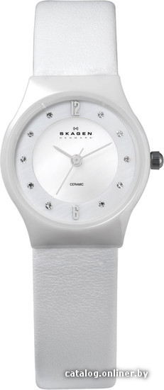 

Наручные часы Skagen 233XSCLW