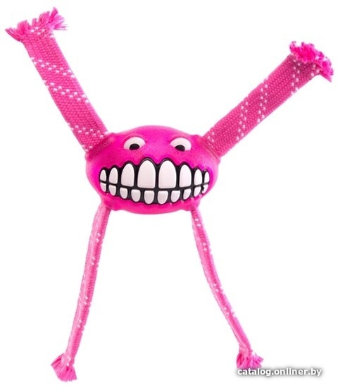 

Игрушка для собак Rogz Grinz Flossy Medium Pink 21 см