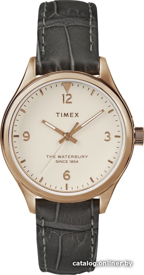 

Наручные часы Timex TW2R69600