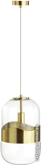 

Подвесная люстра Odeon Light Aplie 4814/1