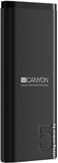 

Внешний аккумулятор Canyon PB-53 5000mAh (черный)