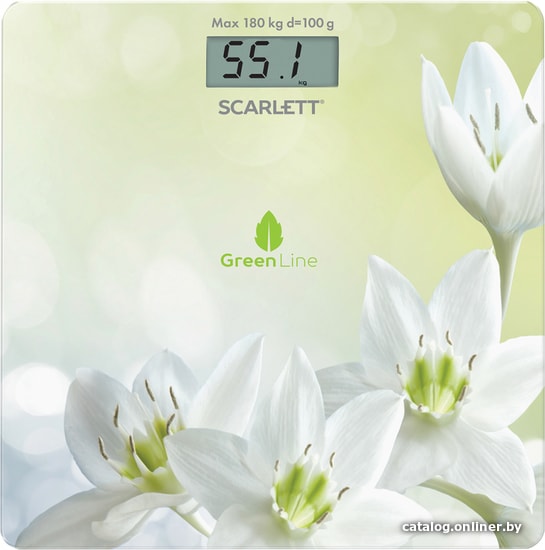 

Напольные весы Scarlett SC-BS33E101