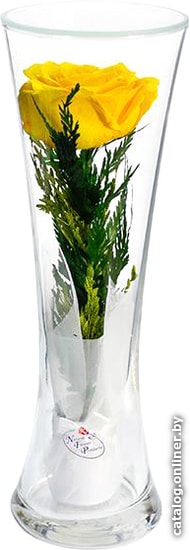 

Цветы, букеты Natural Flower Products Композиция из желтых роз JbOYf
