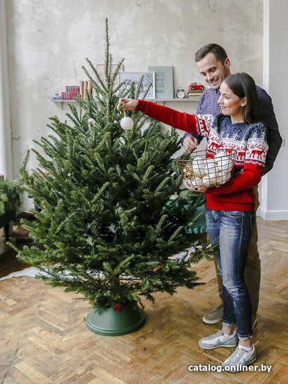 

Ель HD Nordic Trees Фразера Датская Премиум (1.5-1.7 м, срезанная)