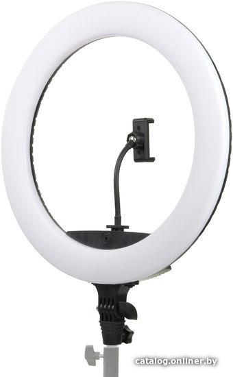 

Кольцевая лампа Falcon Eyes BeautyLight 450R LED
