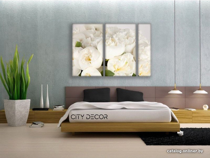 

Модульная картина Citydecor Цветы/Растения 1.118 60x90 см