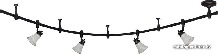 

Трековый светильник Citilux Трек Классик CL560145