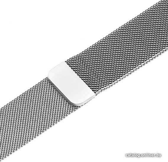 

Браслет Evolution AW40-ML01 для Apple Watch 38/40 мм (silver)