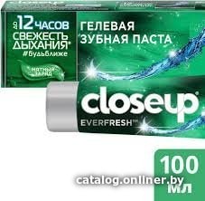 

Зубная паста Close Up Everfresh Мятный заряд 100 мл