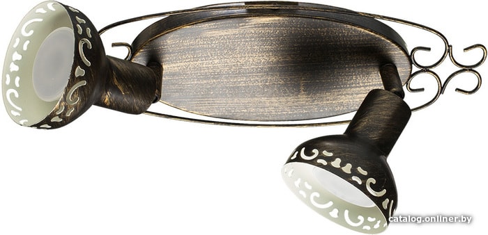 

Точечный светильник Arte Lamp Focus A5219AP-2BR