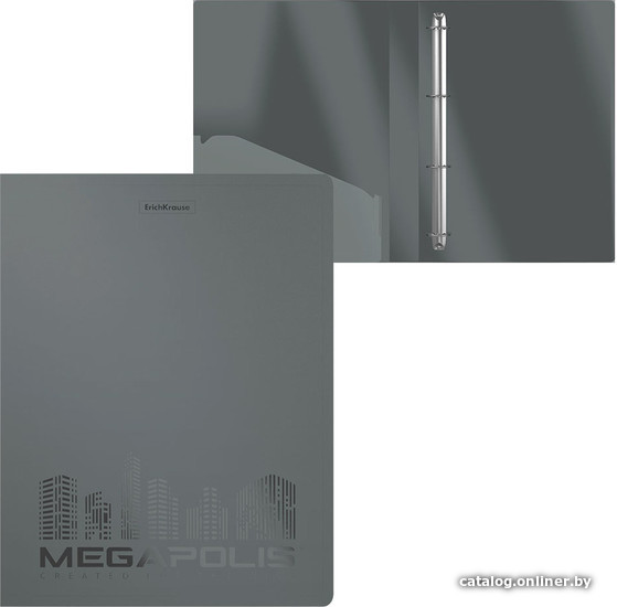 

Набор папок Erich Krause Megapolis 24 мм на 4 кольцаx серый 49982 (4 шт)