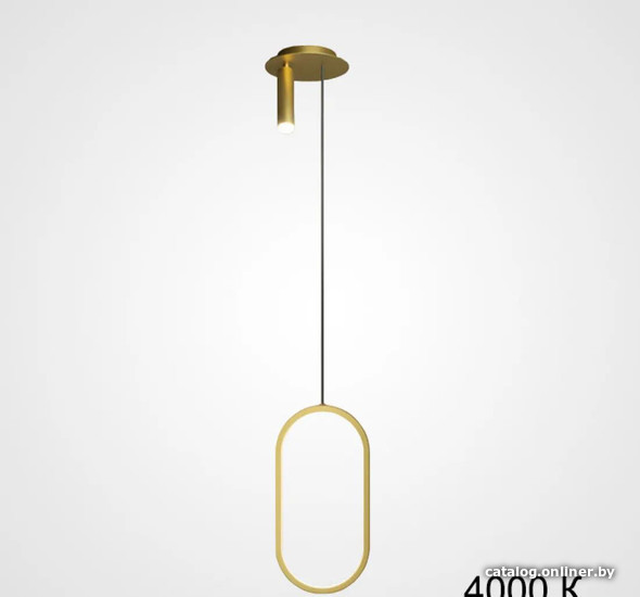 

Подвесная люстра ImperiumLoft String01 213731-26