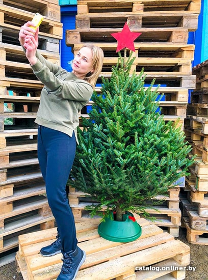 

Ель HD Nordic Trees Фразера Датская Премиум (1.2-1.5 м, срезанная)