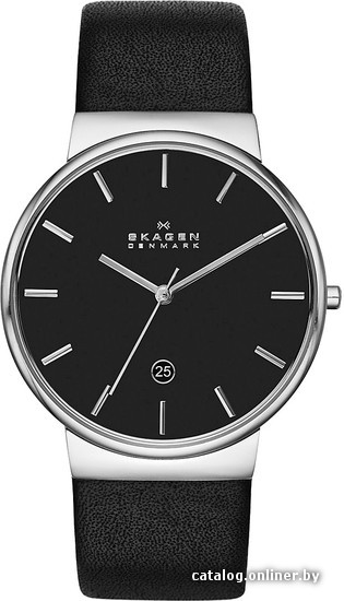 

Наручные часы Skagen SKW6104
