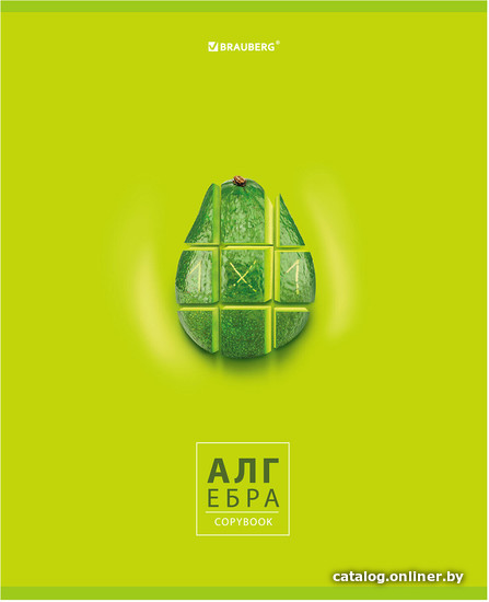 

Тетрадь предметная BRAUBERG Avocado. Алгебра 404273 (48 л, клетка)