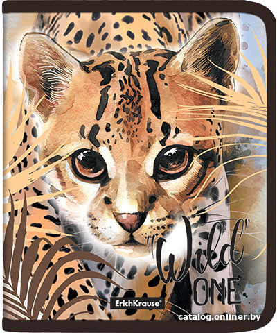 

Набор папок Erich Krause Wild Cat A5+ 48699 (4 шт)