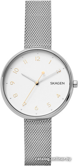 

Наручные часы Skagen SKW2623
