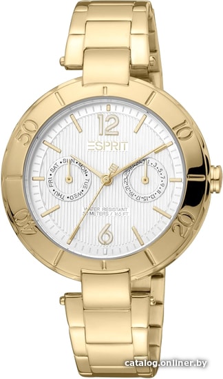 

Наручные часы Esprit ES1L286M0065