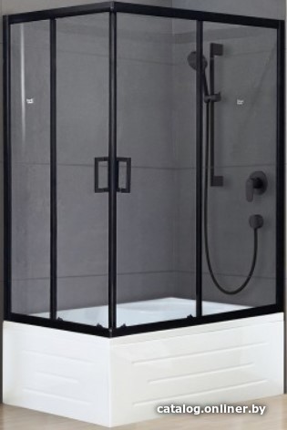 

Душевой уголок Royal Bath RB8100BP-T-BL-R 100x80