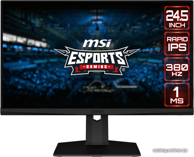 

Игровой монитор MSI G253PF