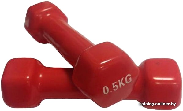 

Набор гантелей Protrain TA-2103-0.5 2x0.5 кг