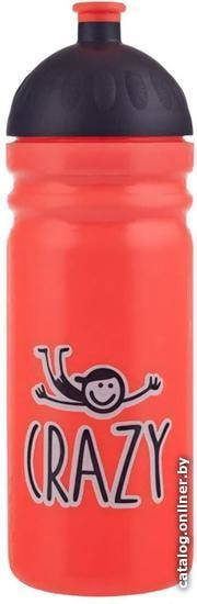 

Бутылка для воды Healthy Bottle Безумный