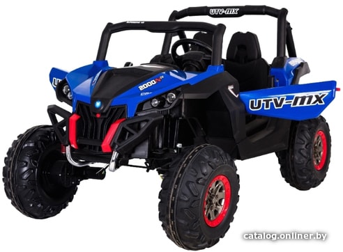 

Электробагги Toyland Багги ХМХ603 4WD Lux (синий)