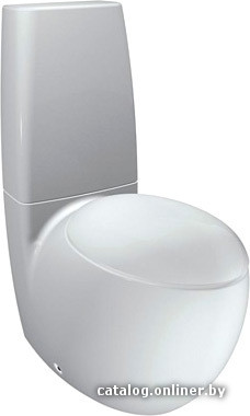 

Унитаз Laufen Alessi One 229764