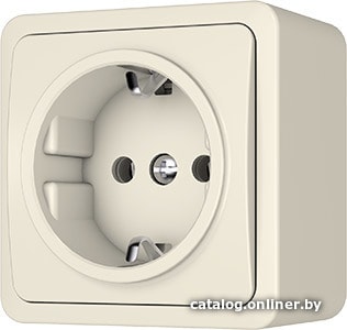 

Розетка Vilma Style plus SL+250 RP16-002 iv