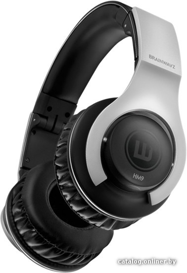 

Наушники Brainwavz HM9