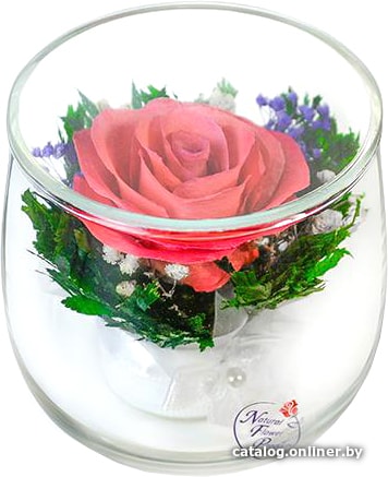 

Цветы, букеты Natural Flower Products Композиция из розовых роз ZZYw