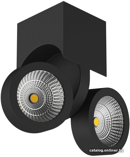 

Точечный светильник Lightstar Snodo 55373