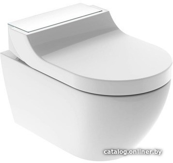 

Унитаз подвесной Geberit AquaClean Tuma [146.294.SI.1]