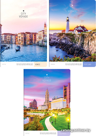 

Общая тетрадь ArtSpace клетка Путешествия. City voyage Т96А4к_21104 (96 л)