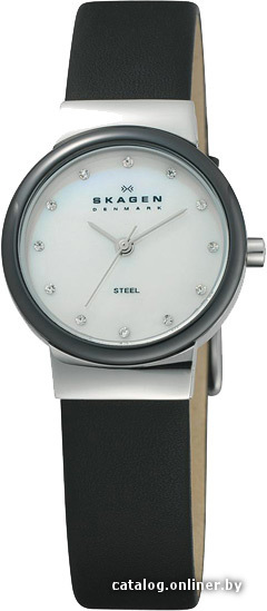 

Наручные часы Skagen 458SSLB