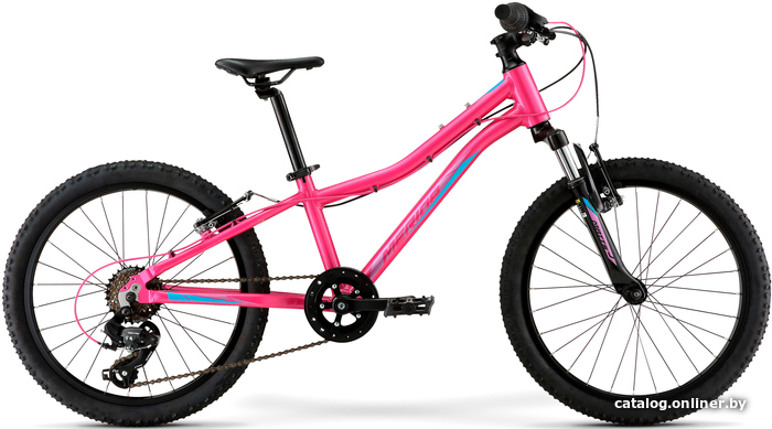 

Детский велосипед Merida Matts J20 ECO 2022 (розовый)