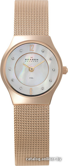 

Наручные часы Skagen 233XSRR