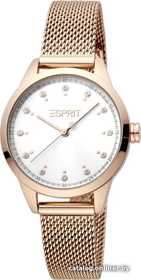 

Наручные часы Esprit ES1L259M1095