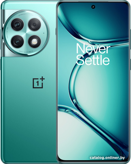 OnePlus Ace 2 Pro 12GB/256GB китайская версия (зеленый) смартфон купить в  Пинске