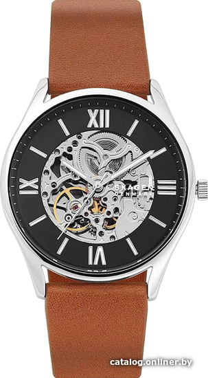 

Наручные часы Skagen Holst SKW6613
