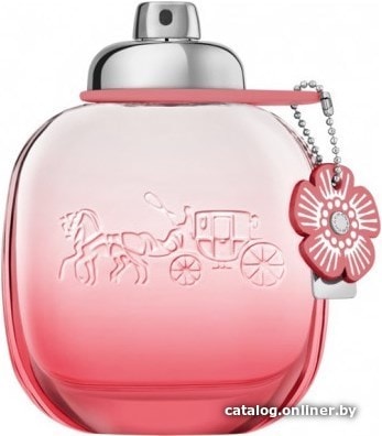 

Парфюмерная вода Coach Floral Blush EdP (30 мл)