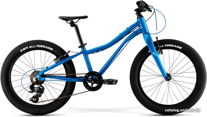 

Детский велосипед Merida Matts J20+ Eco 2021 (синий)