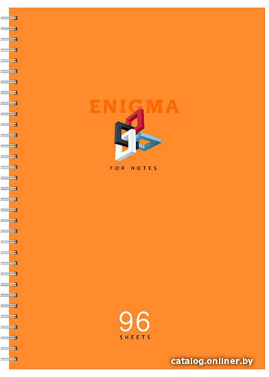 

Общая тетрадь BG Enigma А4 Т4гр96_лм 10140 (96 л)