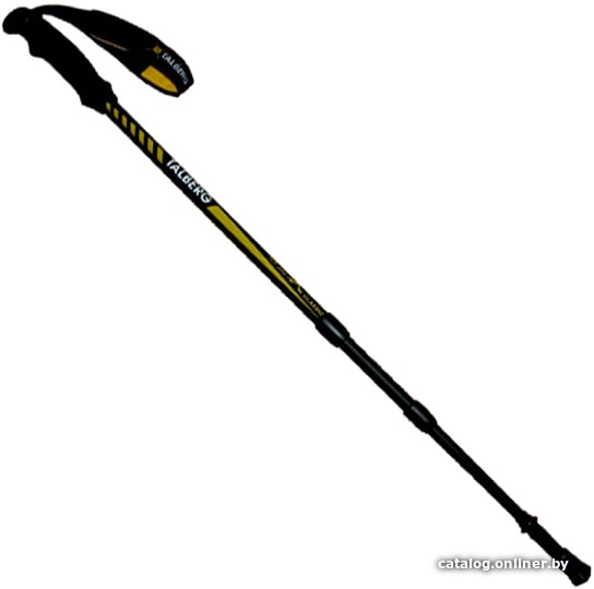

Треккинговые палки Talberg Classic Pole (черный)