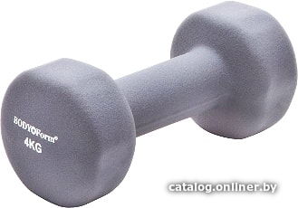 

Гантель Body Form BF-DN01 4 кг