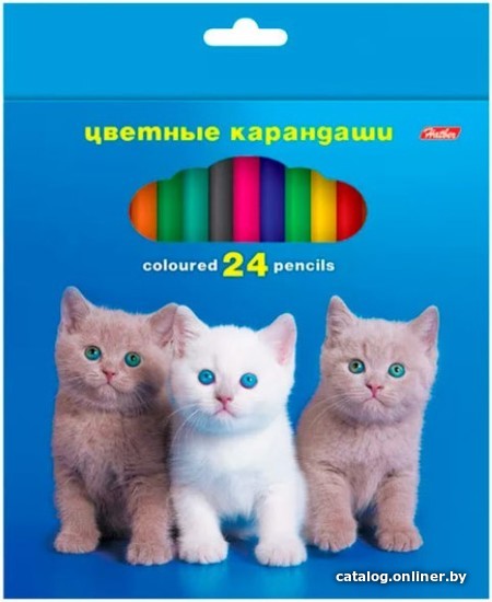 

Набор цветных карандашей Hatber Любимцы Кс24_22 (24 цв)