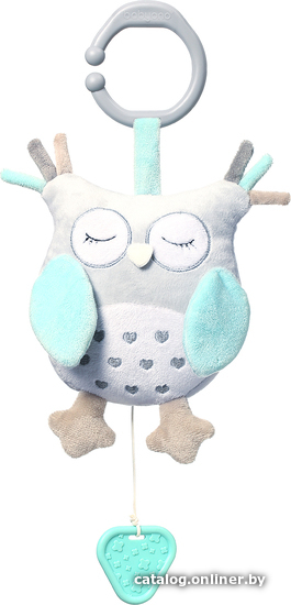 

Развивающая игрушка BabyOno Owl Sofia 792